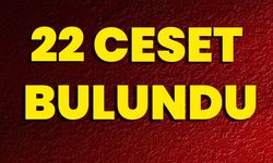 22 Ceset Bulundu