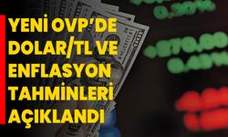 Yeni OVP’de Dolar/TL ve Enflasyon Tahminleri Açıklandı