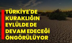 Türkiye'de kuraklığın eylülde de devam edeceği öngörülüyor