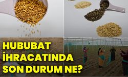 Hububat ihracatında son durum ne?