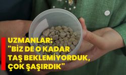 Uzmanlar: "Biz de o kadar taş beklemiyorduk, çok şaşırdık"