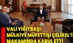 Vali Yiğitbaşı, Mülkiye Müfettişi Çelikel’i Makamında Kabul Etti