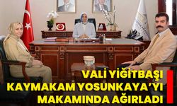 Vali Yiğitbaşı, Kaymakam Yosunkaya’yı Makamında Ağırladı