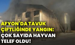 Afyonkarahisar’da tavuk çiftliğinde yangın: Çok sayıda hayvan telef oldu!