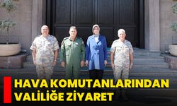 Hava Komutanlarından Valiliğe Ziyaret
