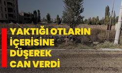 Yaktığı otların içerisine düşerek can verdi