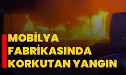 Mobilya fabrikasında korkutan yangın