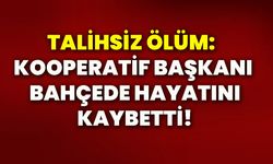 Talihsiz ölüm: Kooperatif Başkanı bahçede hayatını kaybetti!