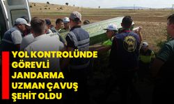 Yol kontrolünde görevli jandarma uzman çavuş şehit oldu