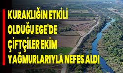 Kuraklığın etkili olduğu Ege'de çiftçiler ekim yağmurlarıyla nefes aldı