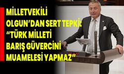 Milletvekili Olgun’dan Terör Örgütlerine Sert Tepki: “Türk Milleti Barış Güvercini Muamelesi Yapmaz”