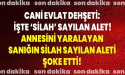 Cani Evlat Dehşeti: İşte ‘Silah’ Sayılan Alet! Annesini Yaralayan Sanığın Silah Sayılan Aleti Şoke Etti!