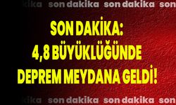 Son Dakika: 4,8 Büyüklüğünde Deprem Meydana Geldi!
