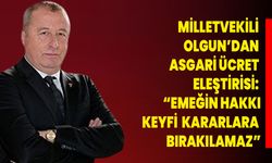 Milletvekili Olgun’dan Asgari Ücret Eleştirisi: “Emeğin Hakkı Keyfi Kararlara Bırakılamaz”