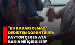 "Bu kadarı olmaz" dedirten görüntüler: Fayton çeken ata bakın ne içirdiler?