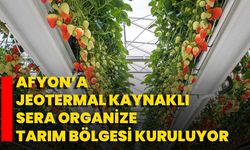 Afyon’a Jeotermal Kaynaklı Sera Organize Tarım Bölgesi Kuruluyor