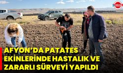 Afyon’da Patates Ekinlerinde Hastalık Ve Zararlı Sürveyi Yapıldı