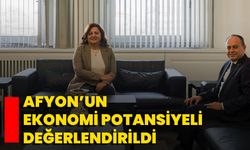 Afyon’un ekonomi potansiyeli değerlendirildi