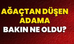 Ağaçtan düşen adama bakın ne oldu?