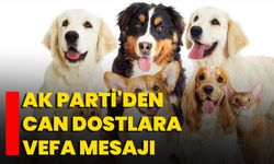 AK Parti'den Can Dostlara Vefa Mesajı