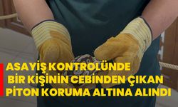 Konya'da asayiş kontrolünde bir kişinin cebinden çıkan piton koruma altına alındı