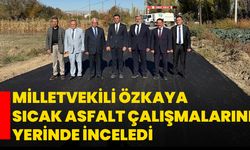 Milletvekili Özkaya Sıcak Asfalt Çalışmalarını Yerinde İnceledi