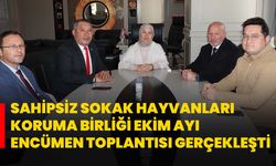 Sahipsiz Sokak Hayvanları Koruma Birliği Ekim Ayı Encümen Toplantısı Gerçekleşti