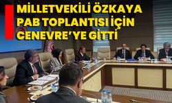 Milletvekili Özkaya, PAB Toplantısı İçin Cenevre’ye Gitti
