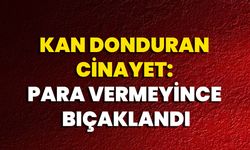 Kan Donduran Cinayet: Para Vermeyince Bıçaklandı