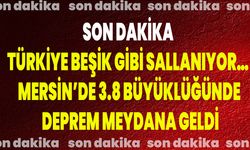 Son Dakika: Türkiye Beşik Gibi Sallanıyor… Mersin’de 3.8 Büyüklüğünde Deprem Meydana Geldi
