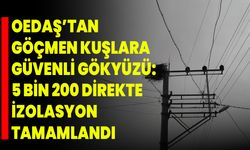 OEDAŞ’tan Göçmen Kuşlara Güvenli Gökyüzü: 5 Bin 200 Direkte İzolasyon Tamamlandı
