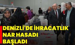 Denizli'de ihracatlık nar hasadı başladı