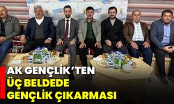 AK Gençlik’ten Üç Beldede Gençlik Çıkarması