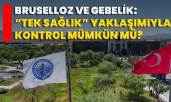 Bruselloz Ve Gebelik: “Tek Sağlık” Yaklaşımıyla Kontrol Mümkün Mü?