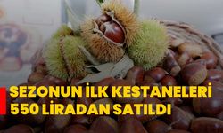 Sezonun ilk kestaneleri 550 liradan satıldı