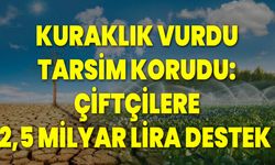 Kuraklık Vurdu, TARSİM Korudu: Çiftçilere 2,5 Milyar Lira Destek