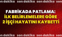 Fabrikada Patlama: İlk Belirlemelere Göre 2 İşçi Hayatını Kaybetti