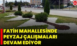 Fatih Mahallesinde Peyzaj Çalışmaları Devam Ediyor