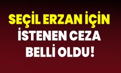 Seçil Erzan için istenen ceza belli oldu!