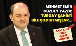 Mehmet Emin Güzbey yazdı: Turgay Şahin’i bile çıldırtmışlar...