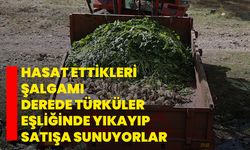Hasat ettikleri şalgamı derede türküler eşliğinde yıkayıp satışa sunuyorlar