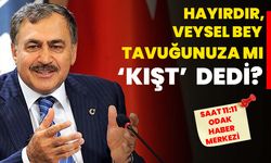 Hayırdır, Veysel Bey tavuğunuza mı ‘kışt’ dedi?