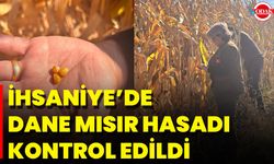 İhsaniye’de Dane Mısır Hasadı Kontrol Edildi