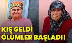 Kış geldi ölümler başladı!