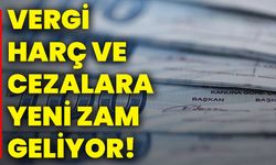 Vergi, harç ve cezalara yeni zam geliyor!