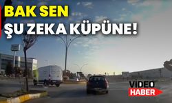 Bak sen şu zeka küpüne!