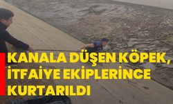 Kanala düşen köpek, itfaiye ekiplerince kurtarıldı