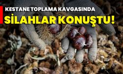 Kestane Toplama Kavgasında Silahlar Konuştu!