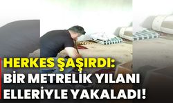 Herkes şaşırdı: Bir metrelik yılanı elleriyle yakaladı!