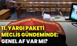 11. yargı paketi meclis gündeminde: Genel af var mı?